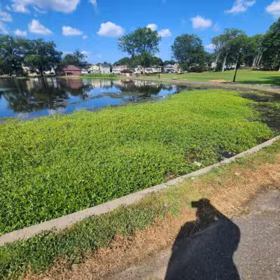 Irvington Park - Irvington, NJ