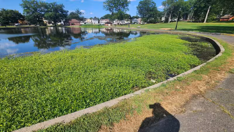 Irvington Park - Irvington, NJ