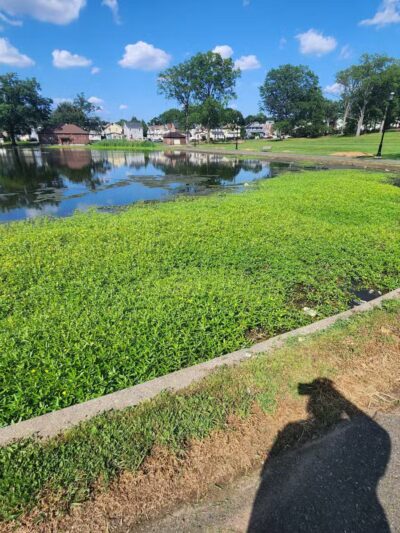 Irvington Park - Irvington, NJ