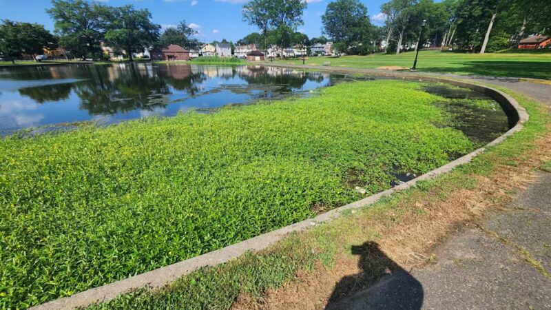 Irvington Park - Irvington, NJ