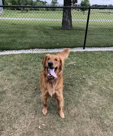Isanti Dog Park - Isanti, MN