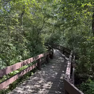 Lakeland County Park - Islandia, NY