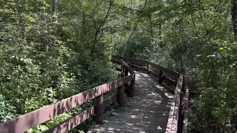 Lakeland County Park - Islandia, NY
