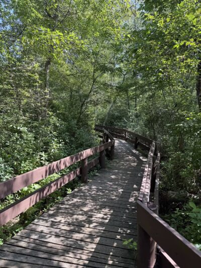 Lakeland County Park - Islandia, NY