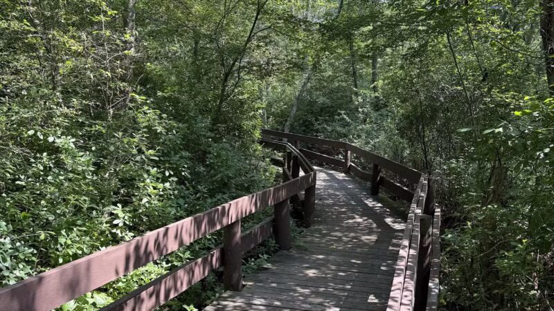 Lakeland County Park - Islandia, NY