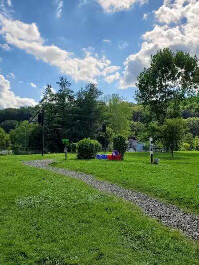 Ithaca Dog Park - Ithaca,