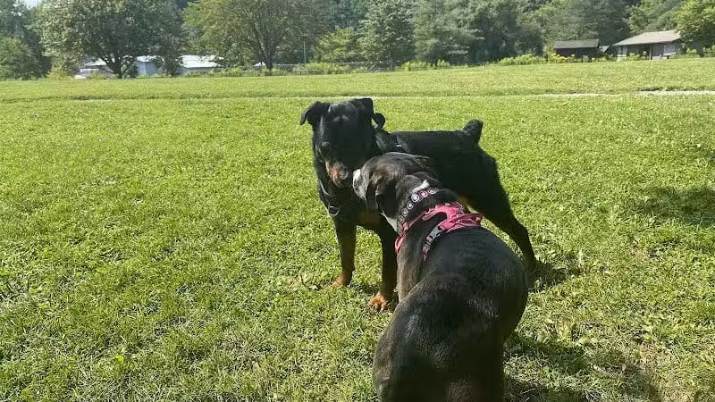 Ithaca Dog Park - Ithaca,