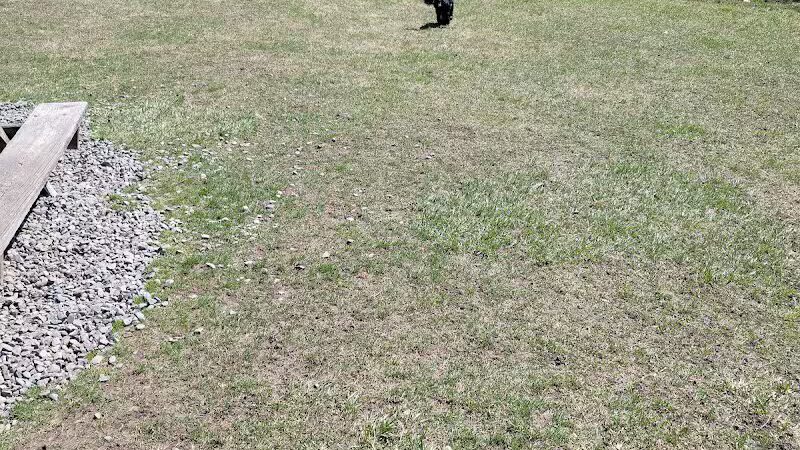Ithaca Dog Park - Ithaca,