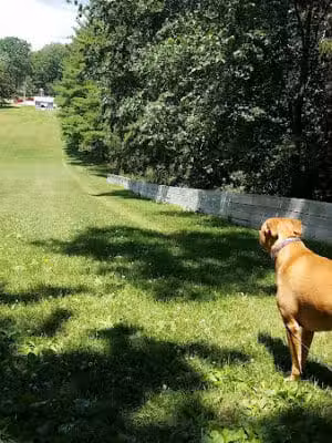 Woodland Park - Ithaca,