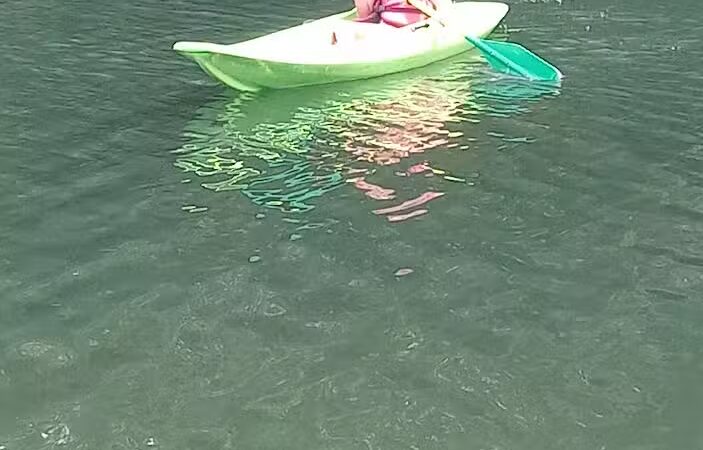 Reed County Park - Ithaca,