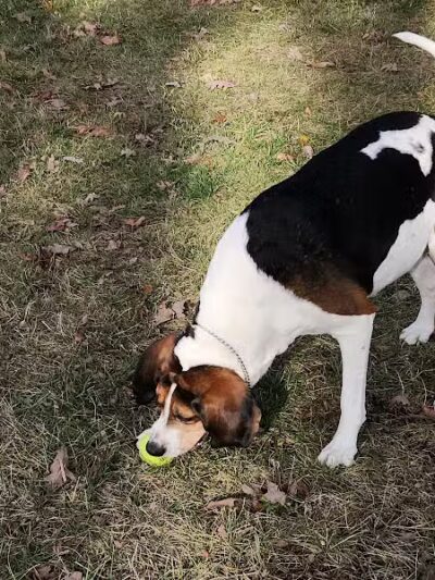 Woodland Park - Ithaca,