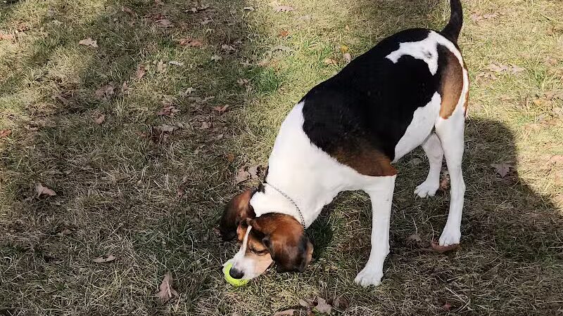 Woodland Park - Ithaca,