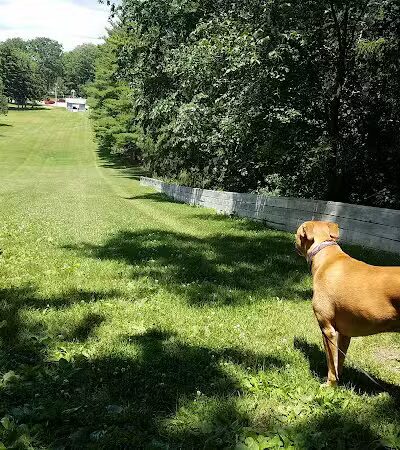 Woodland Park - Ithaca,