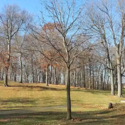 Woodland Park - Ithaca,