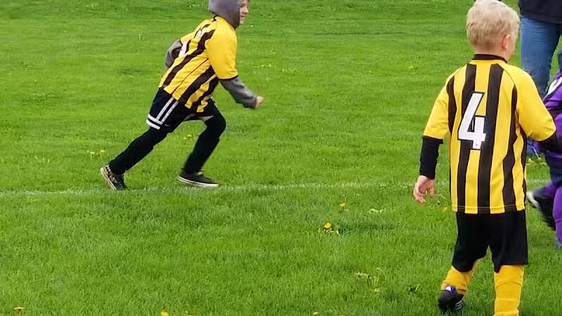 Woodland Park - Ithaca,