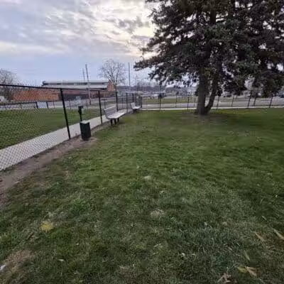 Betty’s Dog Park - Jackson, MI
