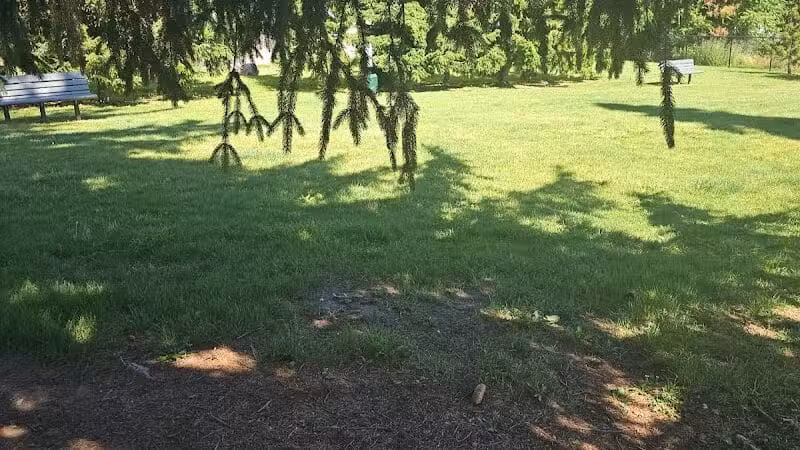 Betty’s Dog Park - Jackson, MI