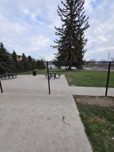 Betty’s Dog Park - Jackson, MI