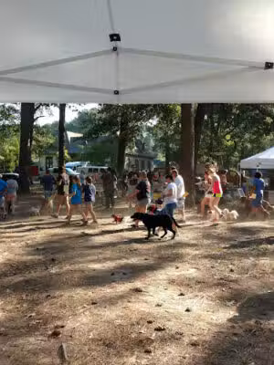 Jamie Fowler Boyll Park - Jackson, MS