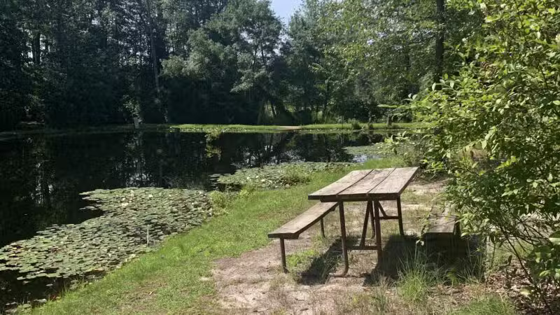 Butterfly Camping Resort - Jackson Township, NJ