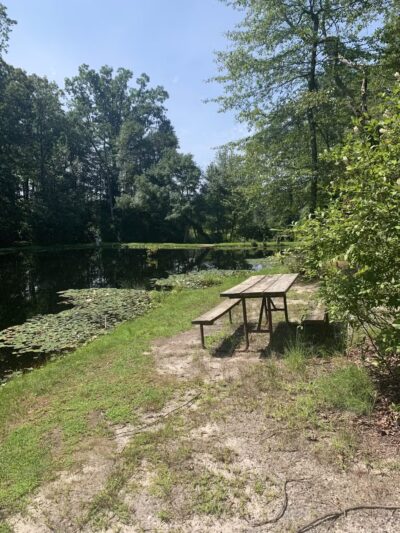 Butterfly Camping Resort - Jackson Township, NJ