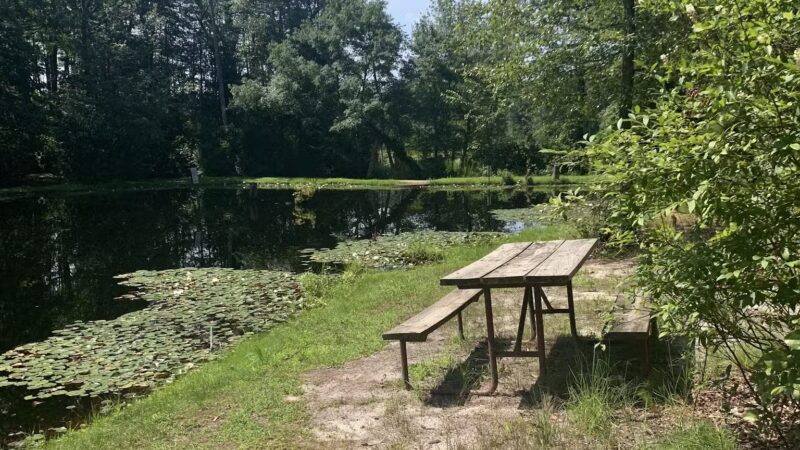 Butterfly Camping Resort - Jackson Township, NJ