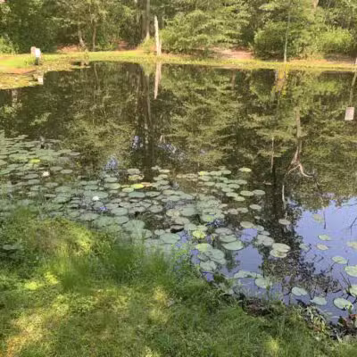 Butterfly Camping Resort - Jackson Township, NJ