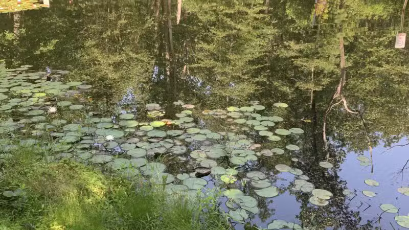 Butterfly Camping Resort - Jackson Township, NJ