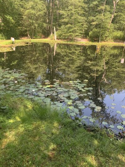 Butterfly Camping Resort - Jackson Township, NJ