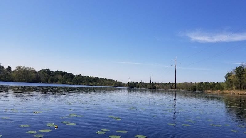Bunker Hill Bogs Recreation Area - Jackson Township, NJ