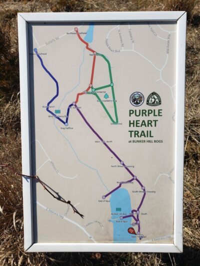 Bunker Hill Bogs Recreation Area - Jackson Township, NJ