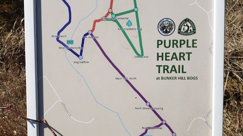 Bunker Hill Bogs Recreation Area - Jackson Township, NJ