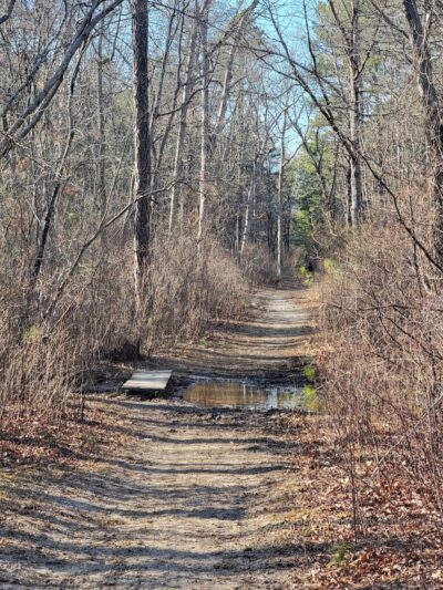 Bunker Hill Bogs Recreation Area - Jackson Township, NJ