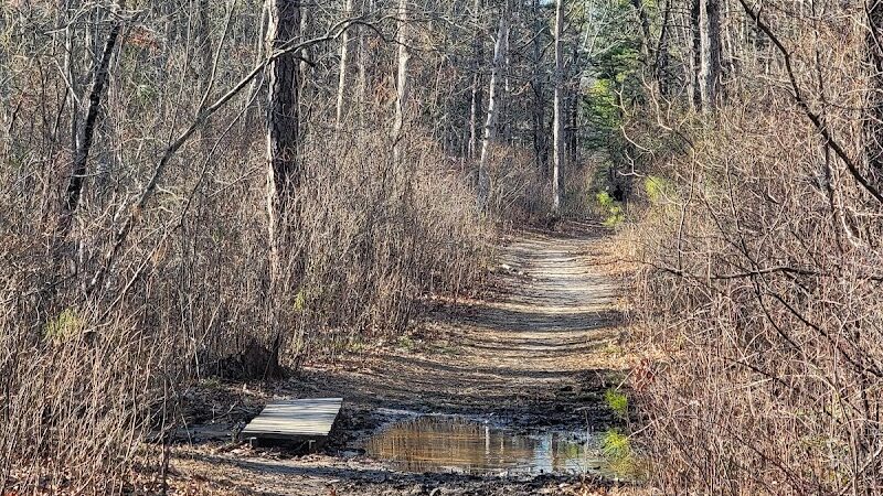 Bunker Hill Bogs Recreation Area - Jackson Township, NJ