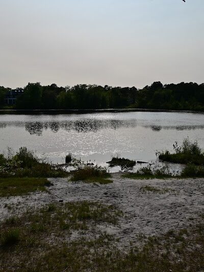 Bunker Hill Bogs Recreation Area - Jackson Township, NJ