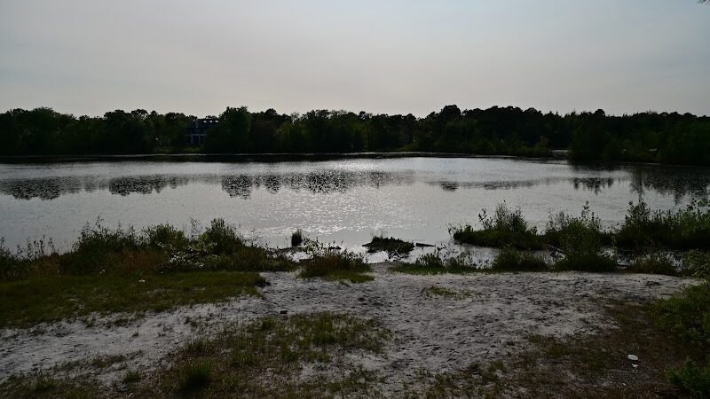 Bunker Hill Bogs Recreation Area - Jackson Township, NJ
