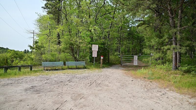 Bunker Hill Bogs Recreation Area - Jackson Township, NJ