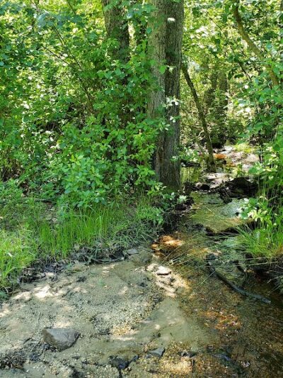 Bunker Hill Bogs Recreation Area - Jackson Township, NJ