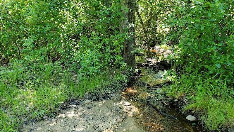 Bunker Hill Bogs Recreation Area - Jackson Township, NJ