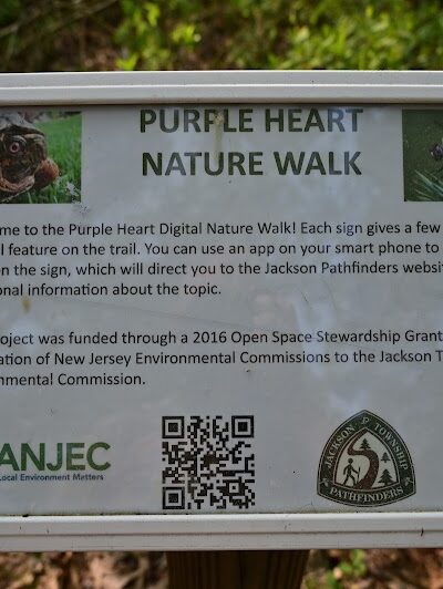 Bunker Hill Bogs Recreation Area - Jackson Township, NJ