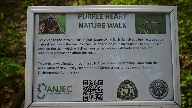 Bunker Hill Bogs Recreation Area - Jackson Township, NJ