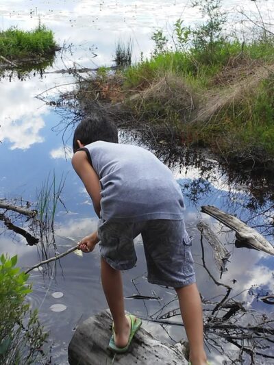 Bunker Hill Bogs Recreation Area - Jackson Township, NJ