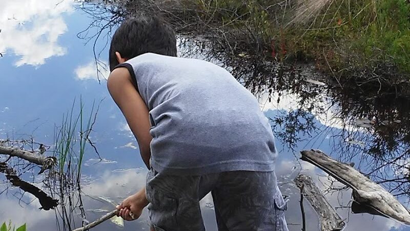Bunker Hill Bogs Recreation Area - Jackson Township, NJ