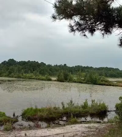 Bunker Hill Bogs Recreation Area - Jackson Township, NJ