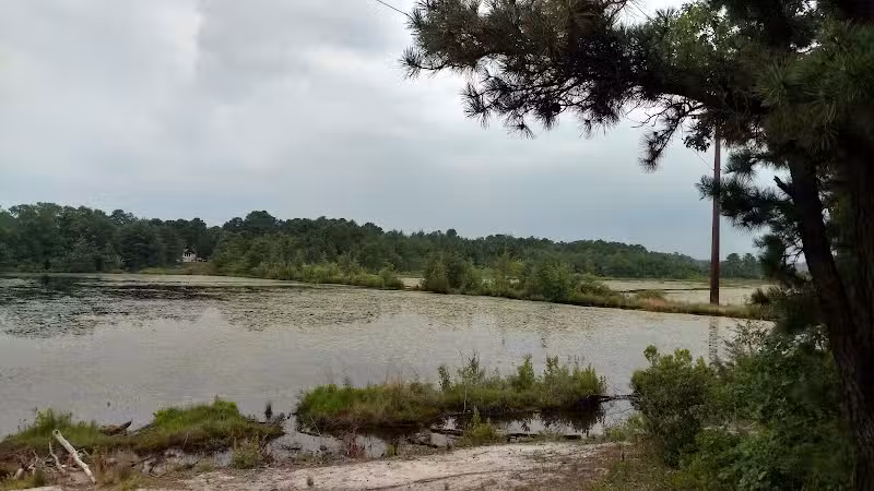Bunker Hill Bogs Recreation Area - Jackson Township, NJ