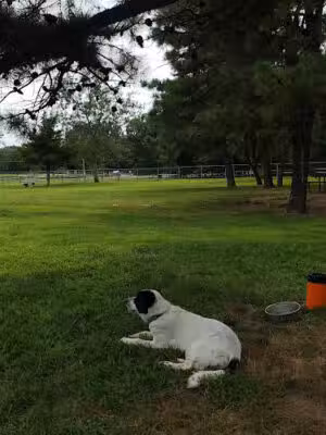 Jackson Dog Park - Jackson Township, NJ