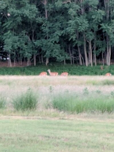 Johnson Memorial Park - Jackson Township, NJ