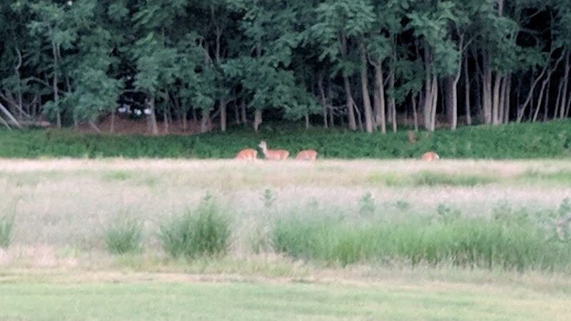 Johnson Memorial Park - Jackson Township, NJ