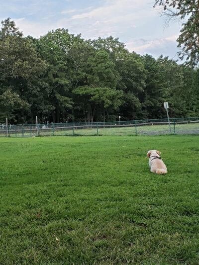 Johnson Memorial Park - Jackson Township, NJ