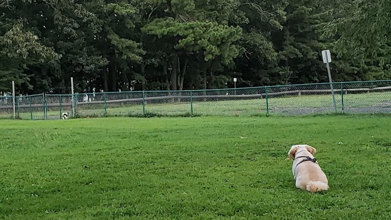 Johnson Memorial Park - Jackson Township, NJ